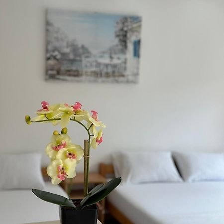 אולסינץ' Ceka Apartments מראה חיצוני תמונה